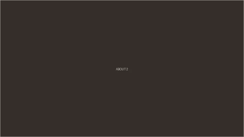 张婉莹 - 团队工作场景